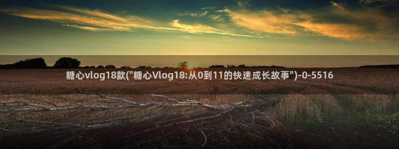 糖心vlog共享会员