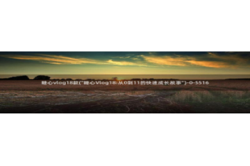 糖心vlog共享会员：糖心vlog18款(\