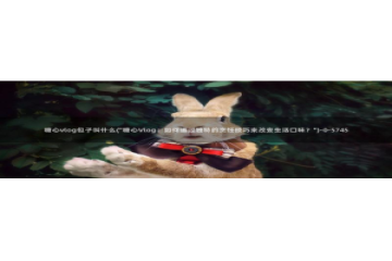 NANA 糖心Vlog：糖心vlog包子叫什么(