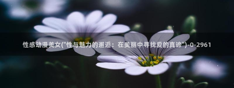 动漫小说