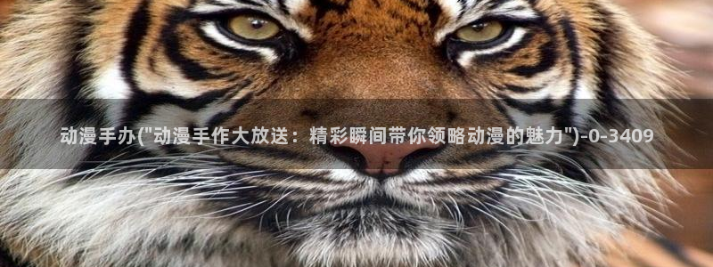动漫网址