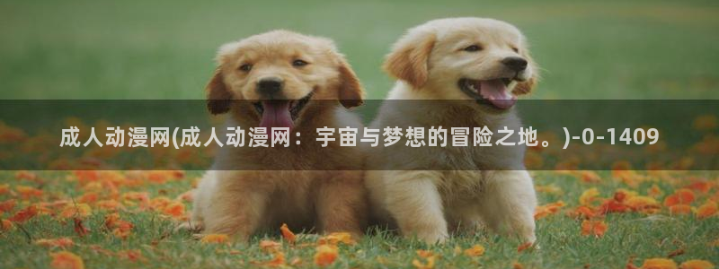 卡卡动漫