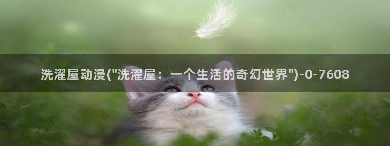 新世界动漫网