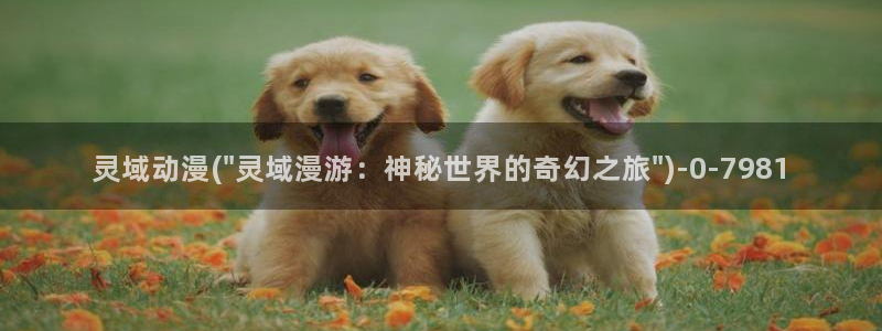 动漫成人
