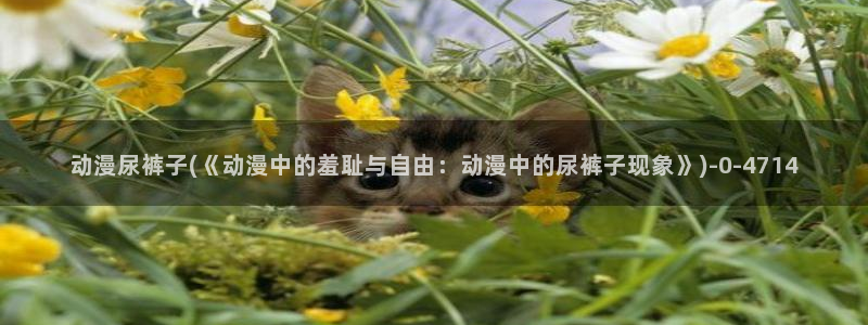 动漫网址